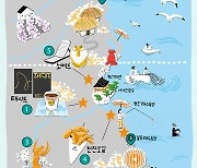 바다를 병풍처럼 두른 카페가 있다? '고성'의 바다뷰 카페 맛집!