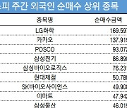 코스피 주간 외국인 순매수 상위 1위 'LG화학'