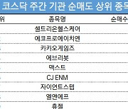 코스닥 주간 기관 순매도 상위 1위 '셀트리온헬스케어'