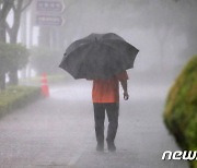 [오늘의 날씨]전북(1일, 일)..곳곳에 요란한 비·폭염 계속