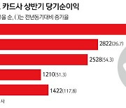 '역대급 실적' 카드업계, "수수료 인하  명분될까" 전전긍긍