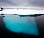 그린란드서 하루새 85억t 얼음 녹아.."해수면 2~10cm 오를 것"