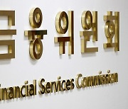 금융당국, '한국판 게임스톱 운동'에 경고장.."위법행위 발견시 제재"