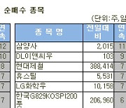 [표]코스피 외국인 연속 순매수 종목(30일)