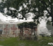 [오늘의 날씨]강원(2일, 월)..비 내리지만 습도 높아 '무더위'