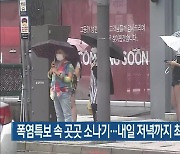 대전·세종·충남 폭염특보 속 곳곳 소나기..내일 저녁까지 최대 100mm