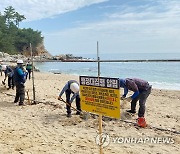 동해시 해변 불법 시설물 강제 철거