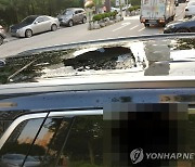 아파트 고층서 떨어진 선반에 주차차량 박살