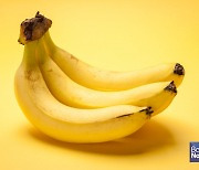 요즘 자꾸 잠 설친다면 선풍기 틀지 말고 '바나나' 먹어보세요 