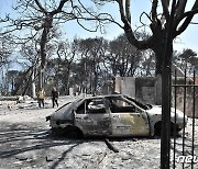 그리스 34년만에 '최악 45도 폭염' 火났나..파트라스·로도스 산불