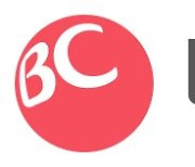 BC카드, 기업 맞춤형 빅데이터 분석 서비스 'BC IDEA' 선보여
