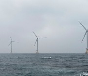 풍력발전 사업 협의 환경부로 일원화..환경성 논란 해소 기대