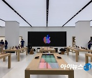 [아!이뉴스] 애플-이통3사 광고비 변경계약 체결.."아리아나 그란데가 포트나이트에 왜 나와"
