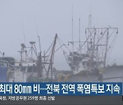 밤까지 최대 80mm 비..전북 전역 폭염특보 지속