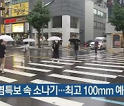 대전·세종·충남 폭염특보 속 소나기..최고 100mm 예상