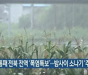 보름째 전북 전역 '폭염특보'..밤사이 소나기 '주의'