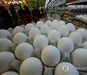 "물가안정"..정부, 다음달까지 계란 2억개 수입한다 