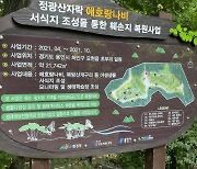 용인시, 정광산 애호랑나비·북방산개구리 서식지 복원