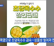 MBN 뉴스파이터-'농가 돕자' 완판 됐는데..초당옥수수 품질 논란에 농민 피해 우려