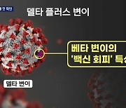 '델타 플러스 변이' 국내 2명 첫 확인.."델타 변이와 비슷"