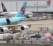 Korean Air flies 10,000 times to carry cargoes instead of people since Covid-19