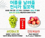 aT, 온라인 채널 다양화..4일 '배민 라이브' 첫 방송