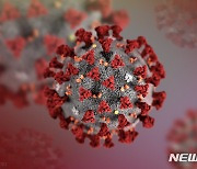'델타플러스' 변이 2명 돌파감염.."백신회피 증가, 확인 안돼"(종합)