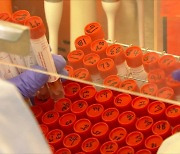 [영상구성] '델타 플러스' 변이 감염자 2명 확인..백신 1차 접종 2천만 명 돌파