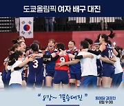 한국 배구, '아시아 유일' 8강 진출[그래픽뉴스]