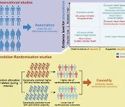 성대 연구팀, 비만과 심혈관 질환의 복합 관계 규명
