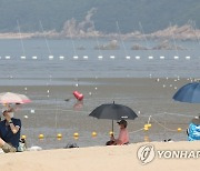 '차양막 설치 금지, 개인 우산은 필수'