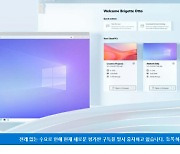 MS 윈도365, 신청자 폭증..하루 만에 구독 임시 중단