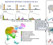 [지금은 과학] 코로나19 감염→특정 염증성 대식세포→폐 손상