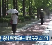 대전·세종·충남 폭염특보..내일 곳곳 소나기