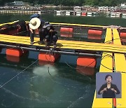 경남 남해안 3년 만에 고수온 경보..양식어가 비상