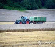 POLAND AGRICULTURE