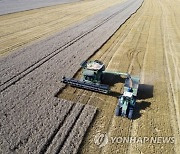 POLAND AGRICULTURE