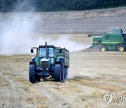 POLAND AGRICULTURE