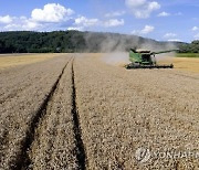 POLAND AGRICULTURE