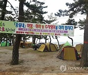 [강릉소식] 경포도립공원 소나무 숲 불법 야영·취사 단속