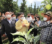 김현수 장관, 사과 농장 폭염 피해 예방 상황 점검
