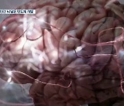 인간 뇌 모방 차세대 '뉴로모픽 반도체' 개발