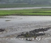 북한, 작년에 이어 올해도 또 홍수..물에 잠긴 농경지