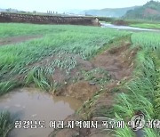 북한, 작년에 이어 올해도 또 홍수..물에 잠긴 농경지