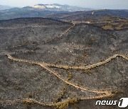 '황폐화된 숲'..터키 남부 삼킨 산불