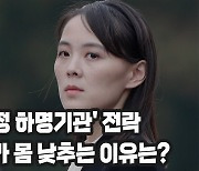 걸핏하면 김정은 건강 이상설.. "金 쓰러지면 전세계에서 15명만 안다"