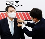 이준석-윤석열 커지는 마찰음..이번엔 '돌고래와 멸치' 논쟁