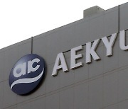 Aekyung Group to merge chemicals units by Nov.