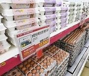 '金달걀' 비상.. 정부, 양계농가 긴급경영안정자금 350억원으로 확대