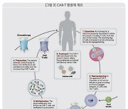 [주목! e기술] 면역세포치료제